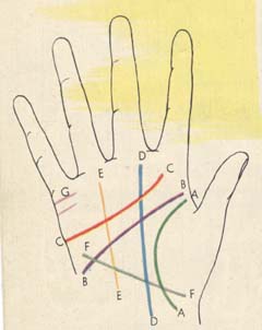 Learn Palmistry, hand analysis and palm reading at home